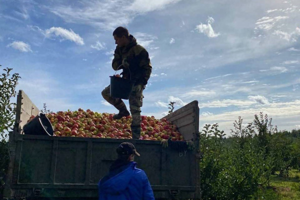 photo_5289819414566392676_y