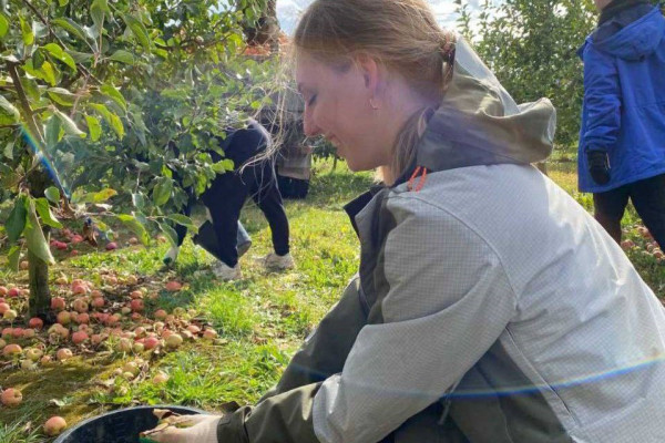 photo_5289819414566392679_y