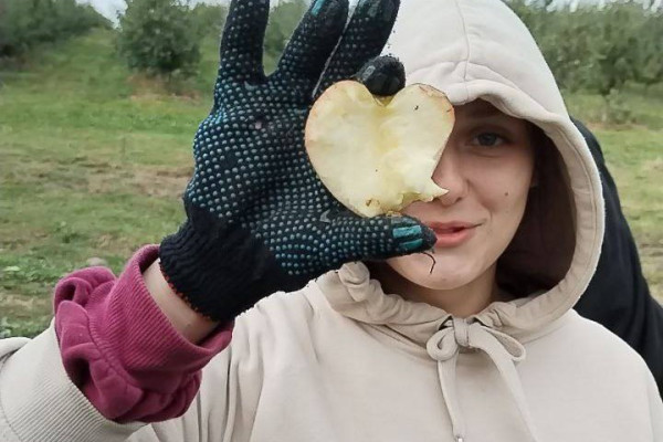 photo_5289819414566392680_x