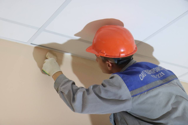 photo_2024-08-28_11-51-25