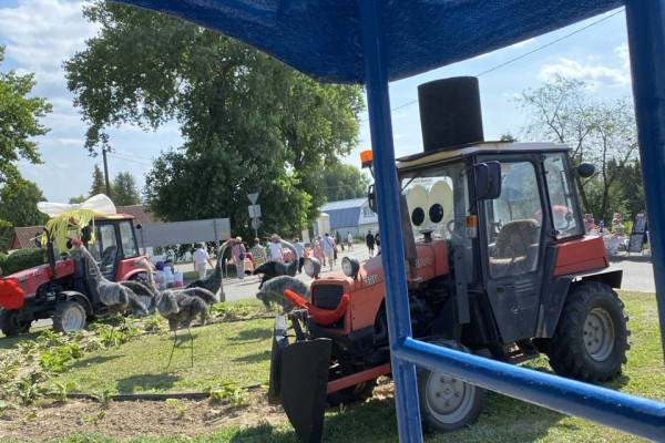 photo_2025-08-18_11-11-37