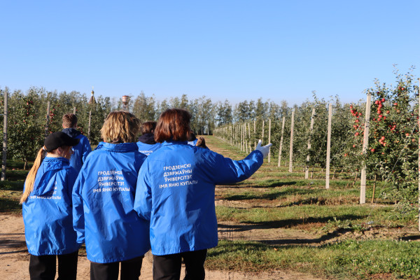 20240926095559_IMG_3721