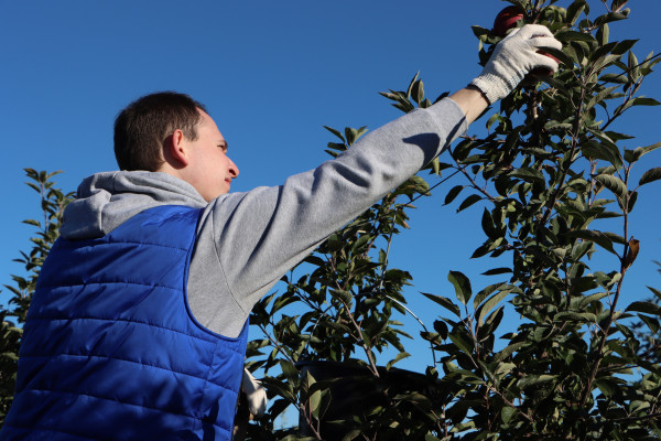 20240926101211_IMG_3822