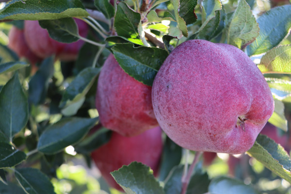 20240926102027_IMG_3885