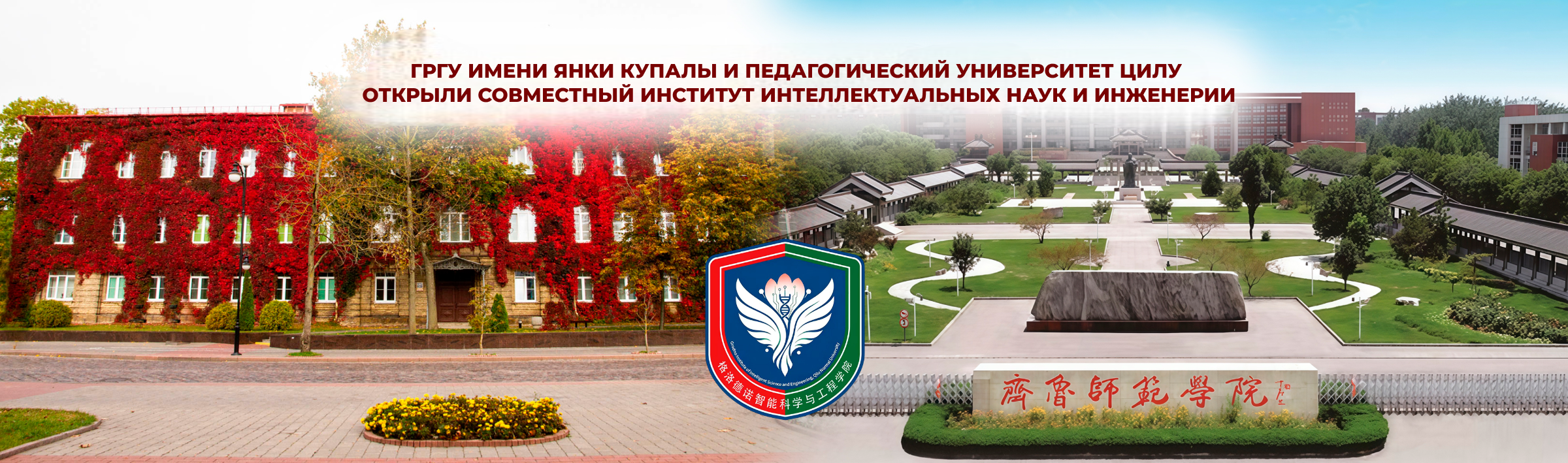 Совместный институт
