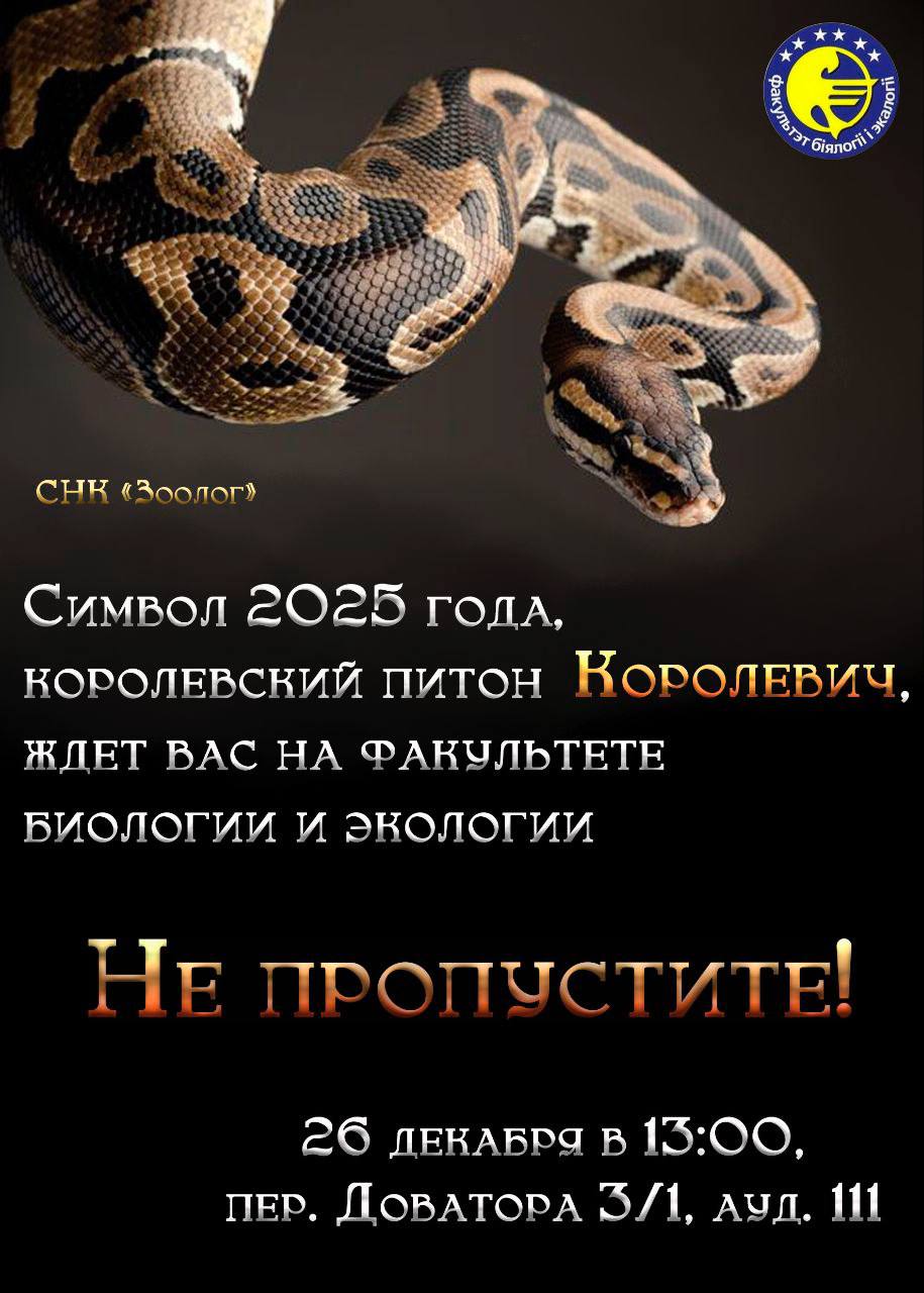 У вас нет фото с символом грядущего года? В Купаловском университете возможно все!