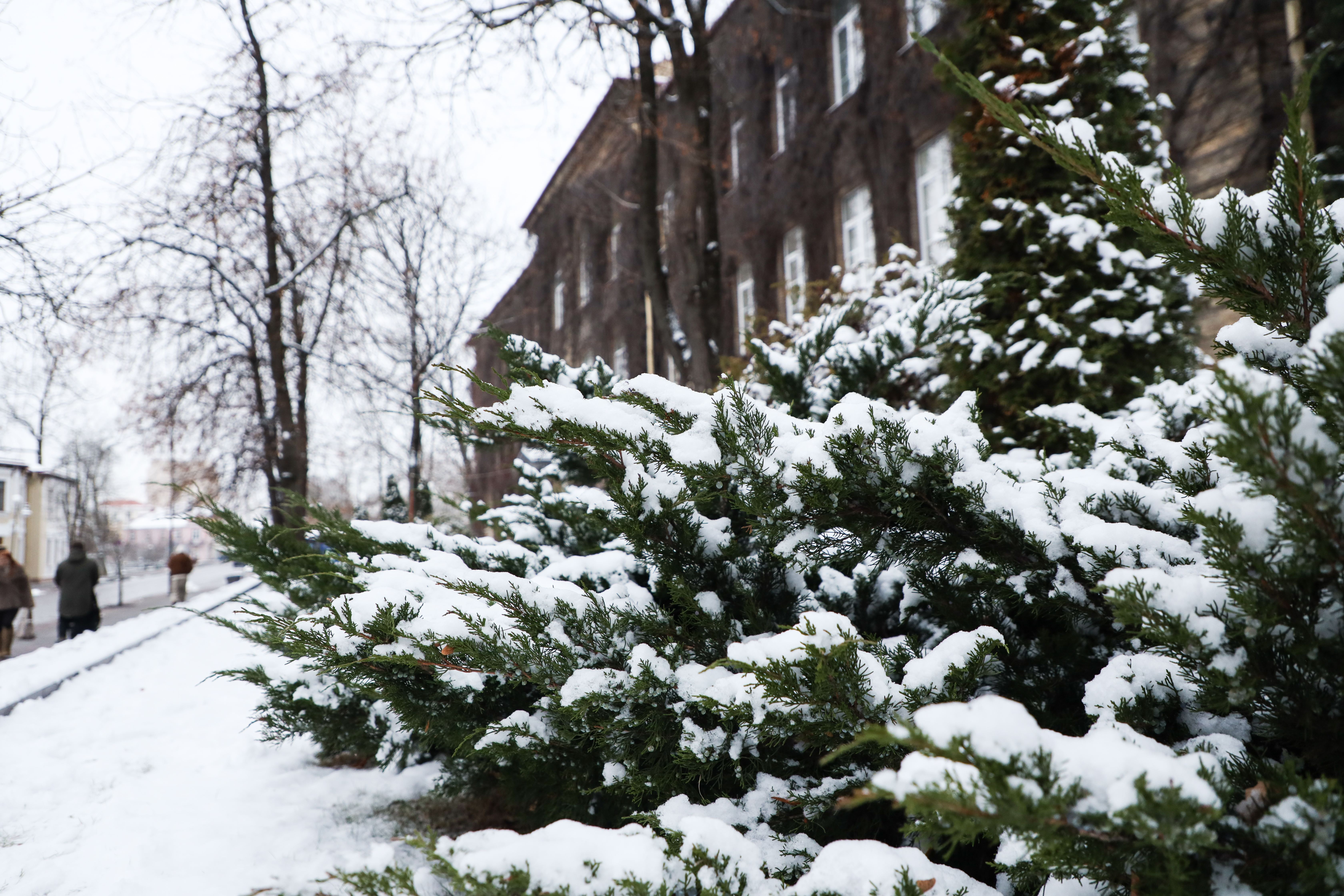 Наука и инновации: Купаловский университет принимает заявки на конкурсы грантов и научных премий 2026 года