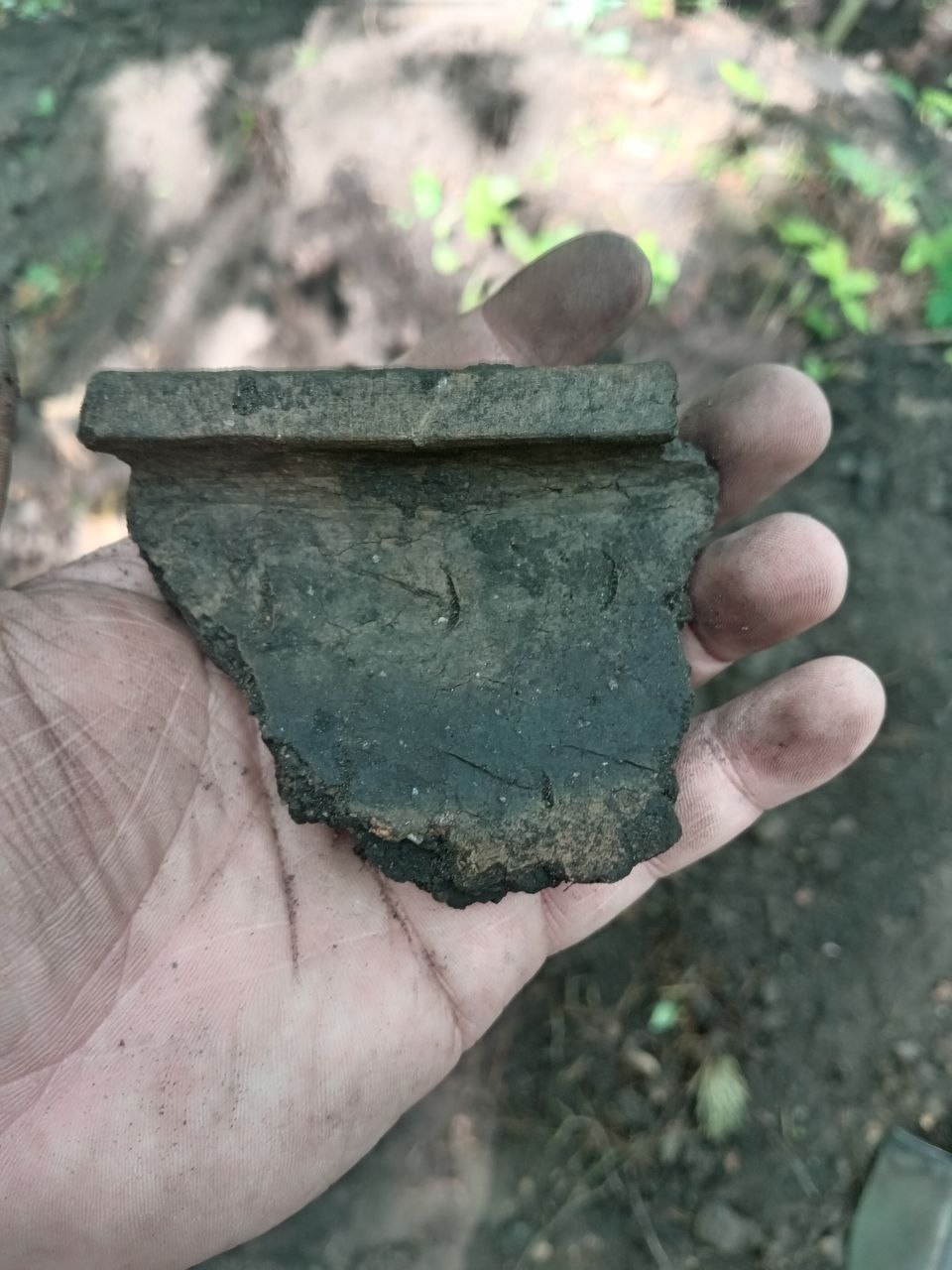 photo 2025 06 12 16 31 55