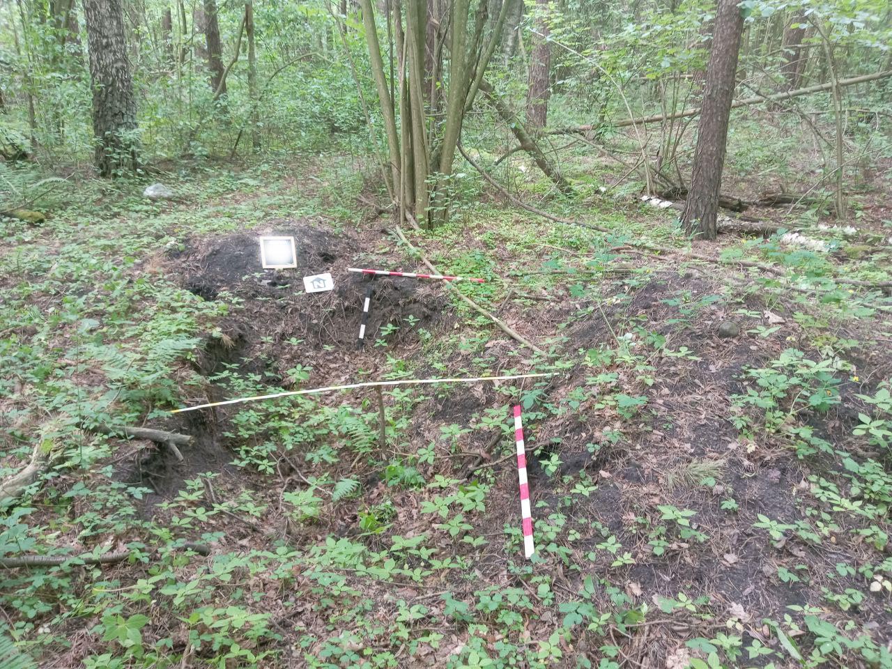 photo 2025 06 12 16 32 33